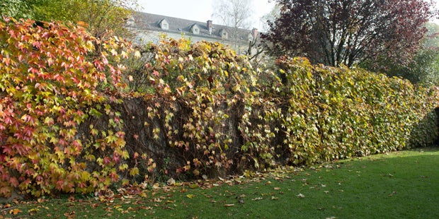 Bursch verletzt sich bei Flucht vor Polizei