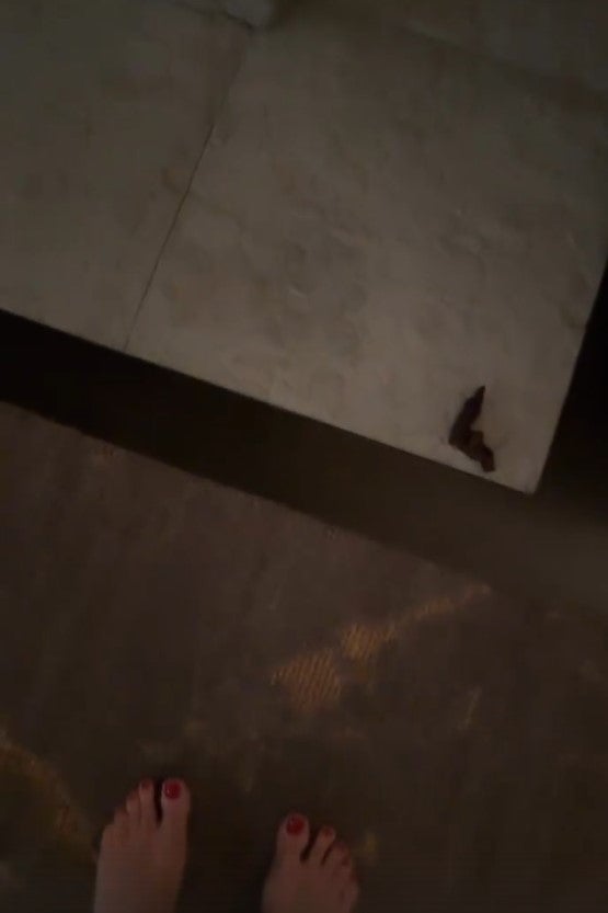 Von wegen Glamour: Heidi wischt Kacki vom Boden auf