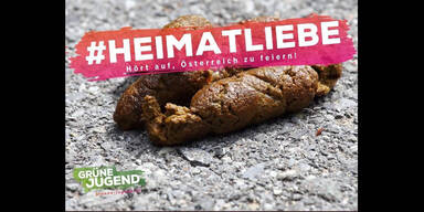 "Heimatliebe": Riesen-Wirbel um grünes "Kack-Posting"