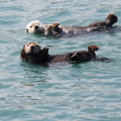 Die schönsten Urlaubsfotos