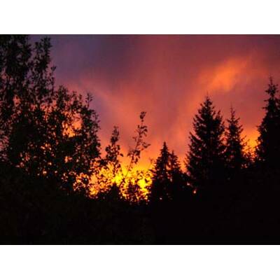 Die romantischsten Fotos