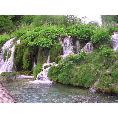 Die neuesten Urlaubsfotos