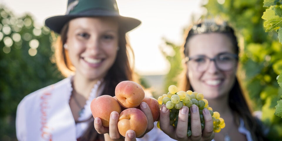 Auf nach Poysdorf, der Weinstadt und Sekthochburg Österreichs!
