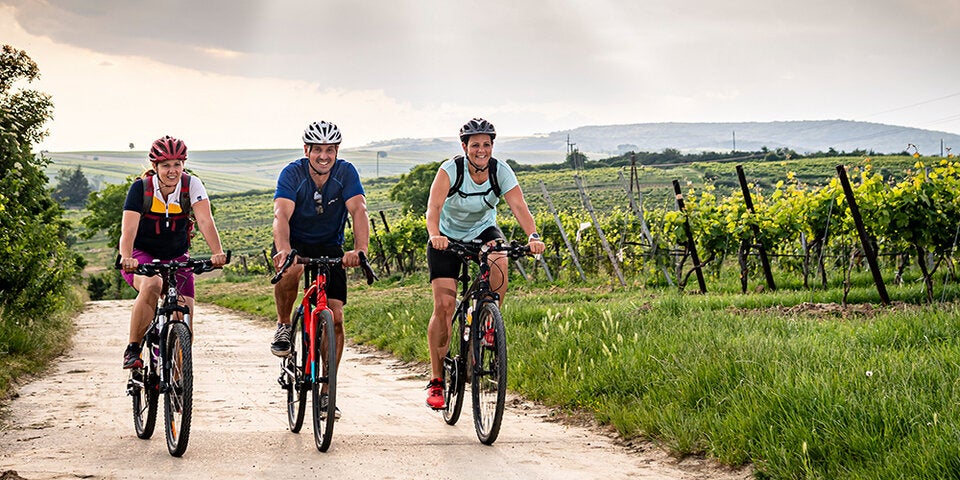 Auf nach Poysdorf, der Weinstadt und Sekthochburg Österreichs!