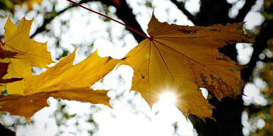 Ab Mittwoch wird es wieder milder