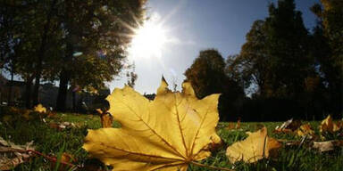 herbst
