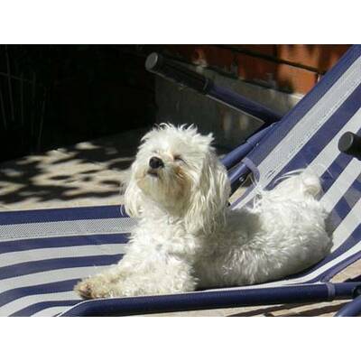 Alle lustigen Urlaubsfotos