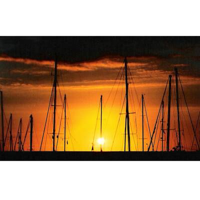 Die schönsten Urlaubsfotos