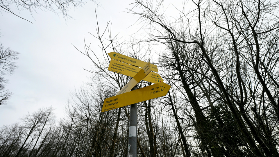 Frauenleiche Wienerwald Hernals