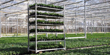 Gartenbaufirma Herneth ist pleite