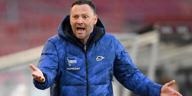 Hertha BSC Pal Dardai