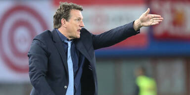 Herzog als Schnäppchen für die Admira