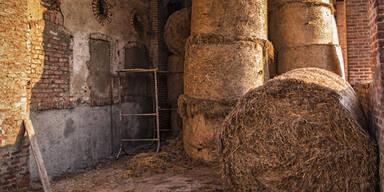 Ire st&uuml;rzt bei Sex-Date durch Futterloch