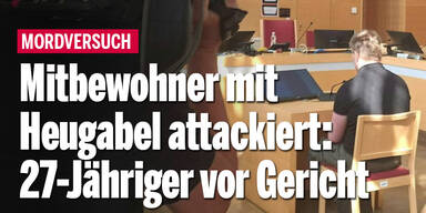 Mitbewohner mit Heugabel attackiert: 27-Jähriger vor Gericht