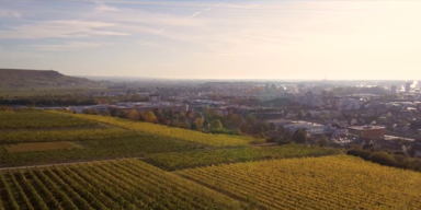 Nieder&ouml;sterreich