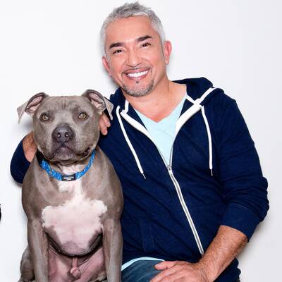 Neujahrskonzert in Wien