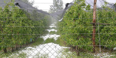 Winter mitten im Mai 