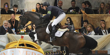 Millionen-Pferd bricht tot zusammen