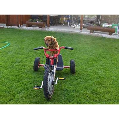 Alle lustigen Urlaubsfotos