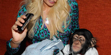 Paris steht auf Schimpansen