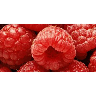 Himbeeren