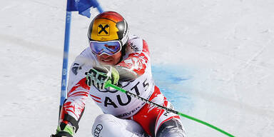Hirscher jagt den  Super-Elch