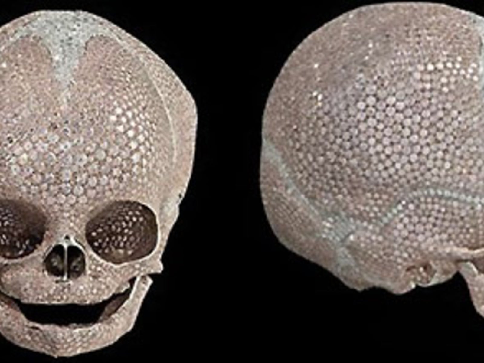 美品】For Heaven's Sake by Damien Hirst