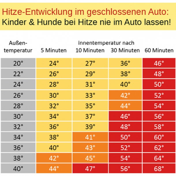 So tödlich ist die Hitze im Auto
