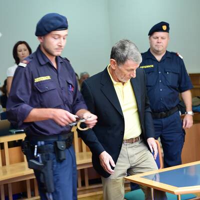 Hochegger in Handschellen vor Gericht