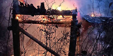 J&auml;ger verbrannte im Hochsitz Steiermark