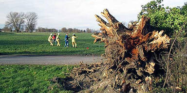 Wetter-Chaos: Föhnsturm zu Weihnachten