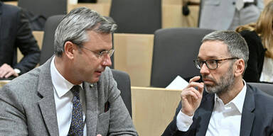 In der FP&Ouml; k&auml;mpft jeder gegen jeden