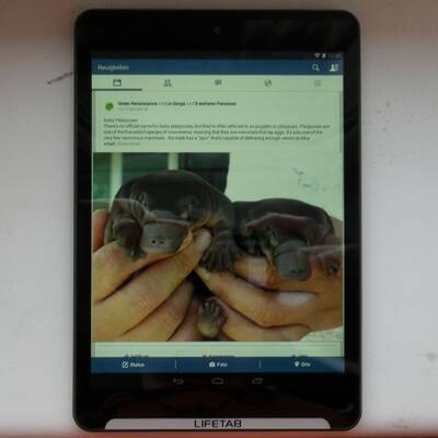 Android 4.4 Tablet von Hofer