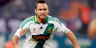 Mit Hofmann gegen den Fluch von Ried