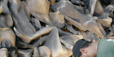 Gericht verbietet Holocaust-Wagen beim Karneval in Rio