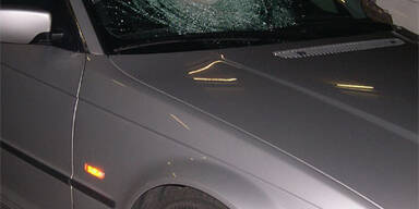 Irrer wirft Holzklotz auf Autobahn - Mutter tot