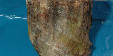 Irrer wirft Holzklotz auf Autobahn - Mutter tot