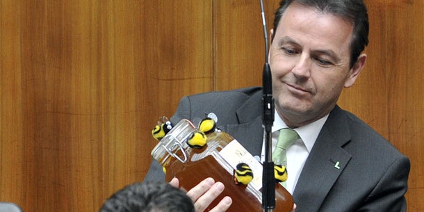 Biene-Maja-Show im Parlament