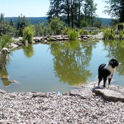 Hotel Riederhof in Ried im Oberinntal / Tirol