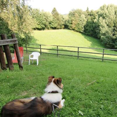 Hotel Riederhof in Ried im Oberinntal / Tirol