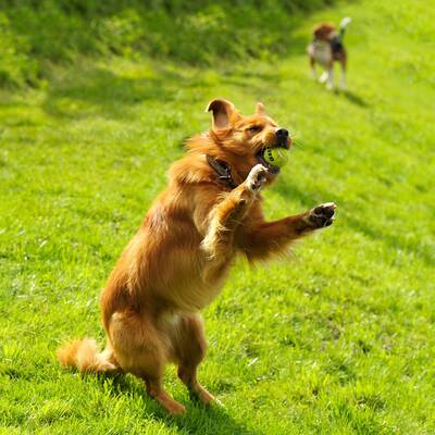 Hotel Riederhof in Ried im Oberinntal / Tirol