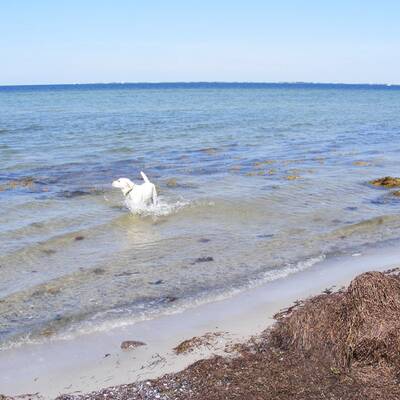 Hotel Riederhof in Ried im Oberinntal / Tirol