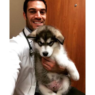 Dr. Evan Antin - Der heißeste Tierarzt der Welt 