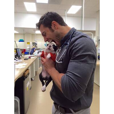 Dr. Evan Antin - Der heißeste Tierarzt der Welt 