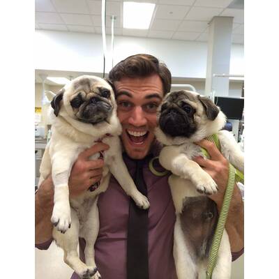 Dr. Evan Antin - Der heißeste Tierarzt der Welt 