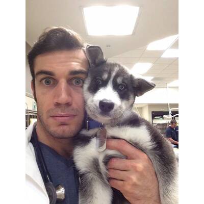 Dr. Evan Antin - Der heißeste Tierarzt der Welt 