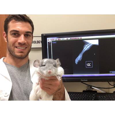 Dr. Evan Antin - Der heißeste Tierarzt der Welt 