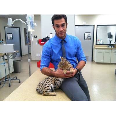 Dr. Evan Antin - Der heißeste Tierarzt der Welt 
