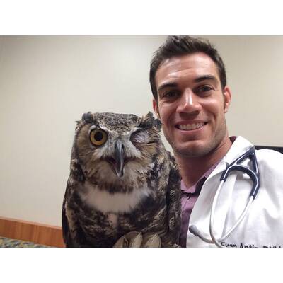 Dr. Evan Antin - Der heißeste Tierarzt der Welt 