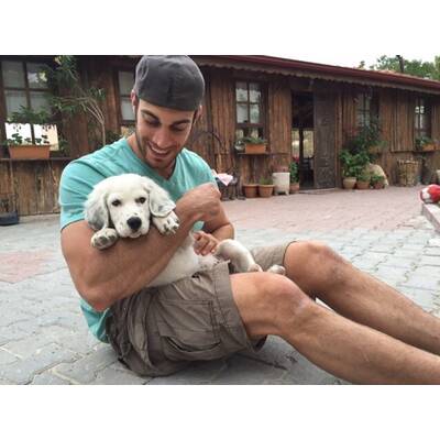 Dr. Evan Antin - Der heißeste Tierarzt der Welt 